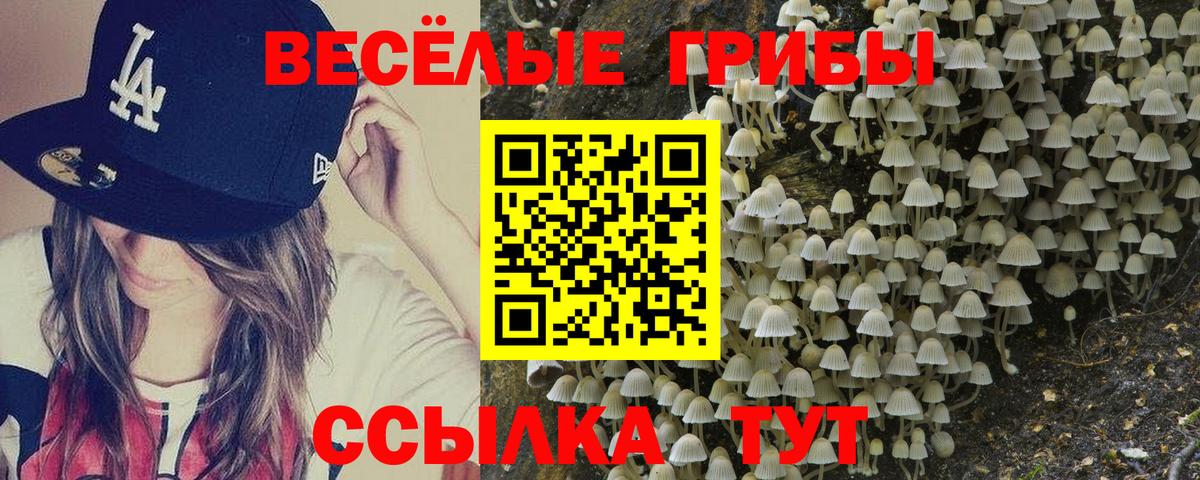 Псилоцибиновые грибы Magic Shrooms  Вход с VPN  Дивногорск 