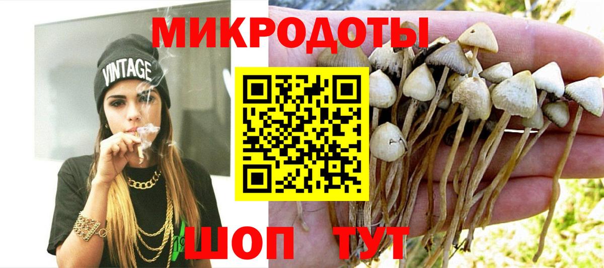 Галлюциногенные грибы ЛСД Дивногорск